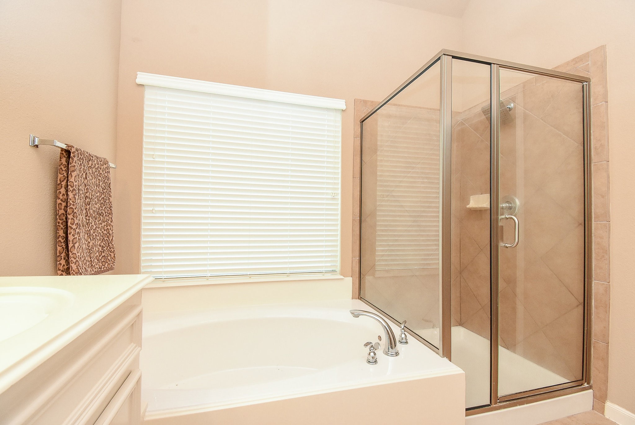 4119 Candle Cove Court Property Photo 18
