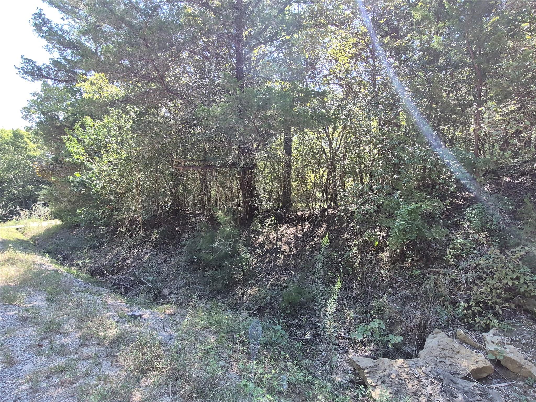 TBD Cedar Valley Dr, Coldspring TX 77331 Property Photo 1