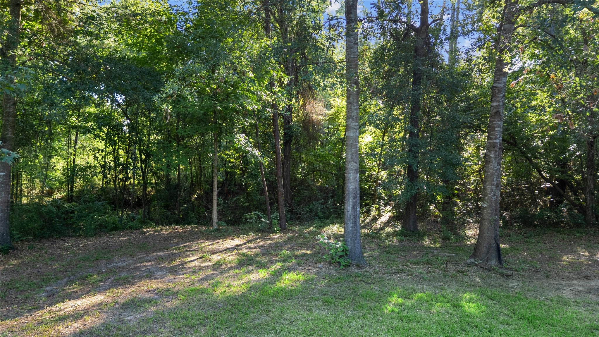 14340 N Highway 75 Property Photo 23