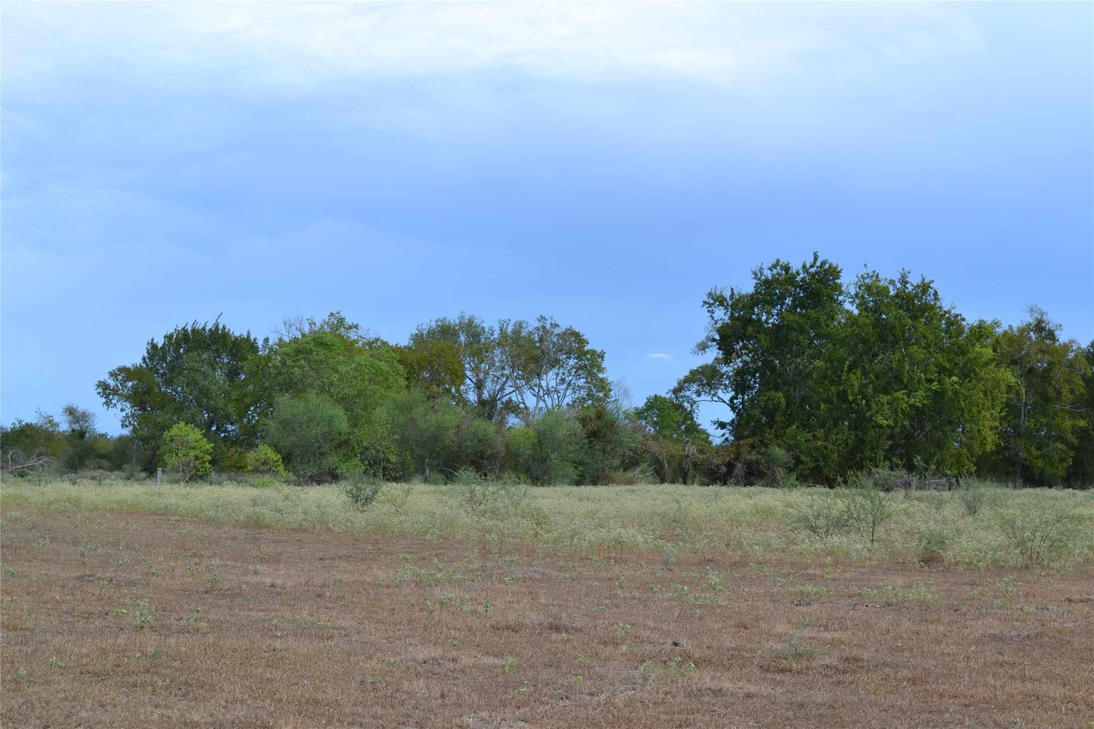 13915 Schmidt Road Property Photo 7