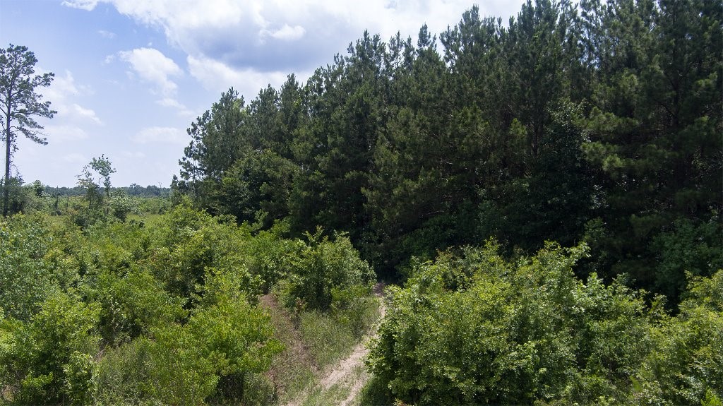 23245 Tx-321 Property Photo 6