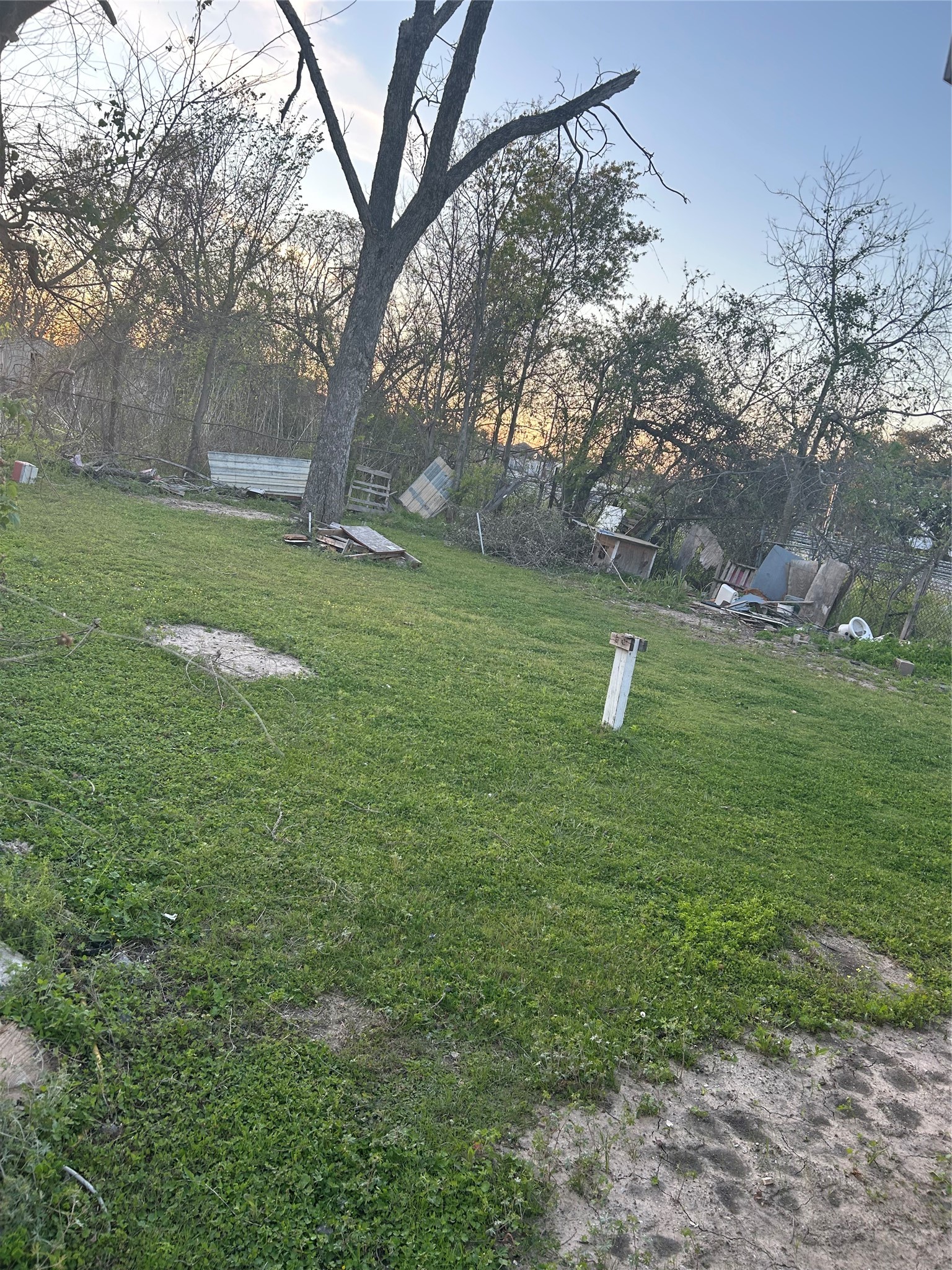 1815 Mary Street Property Photo 5