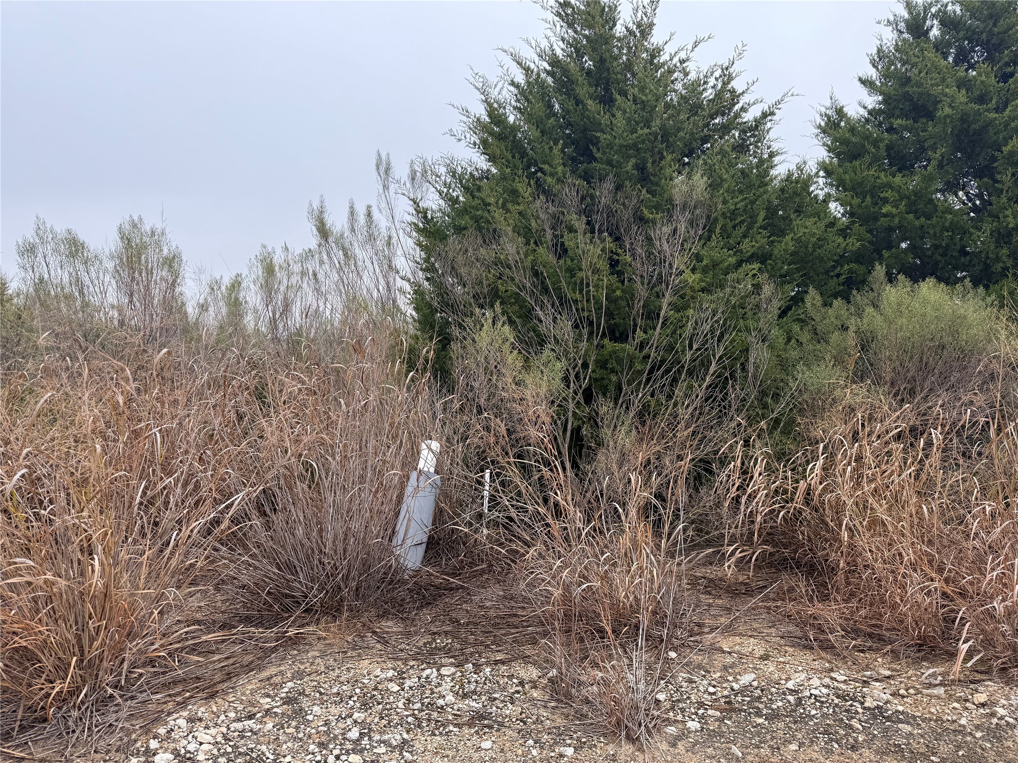 Tbd 164 Highway Property Photo 16