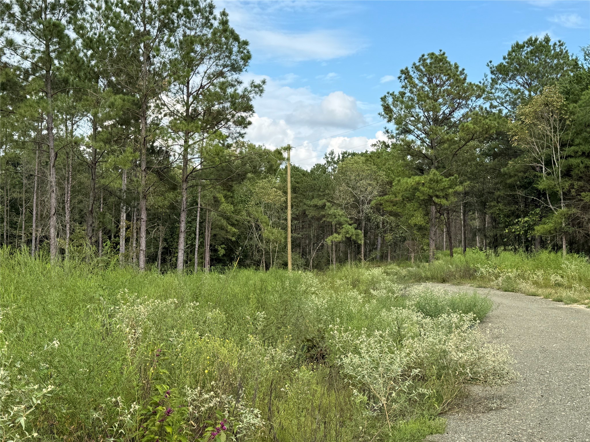 664 Piney Creek Estates RD Property Photo 1