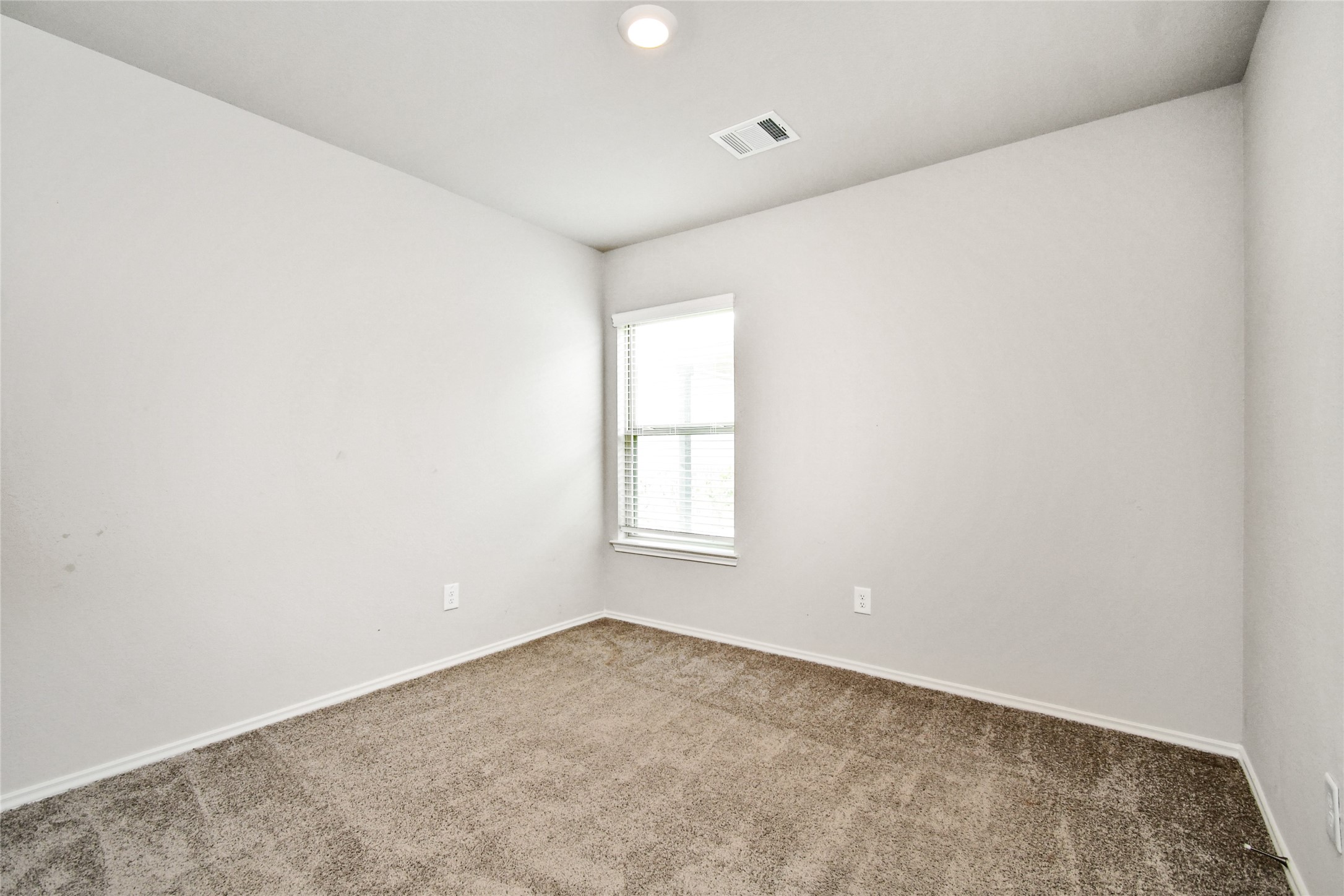 7915 Meadow Cranesbill Lane Property Photo 16