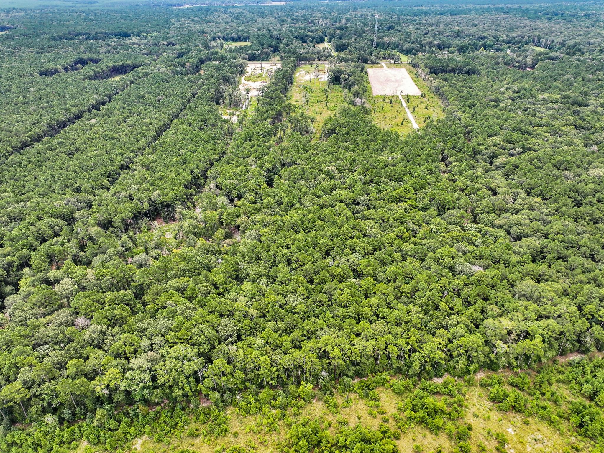 9870 Highway 326 Property Photo 5