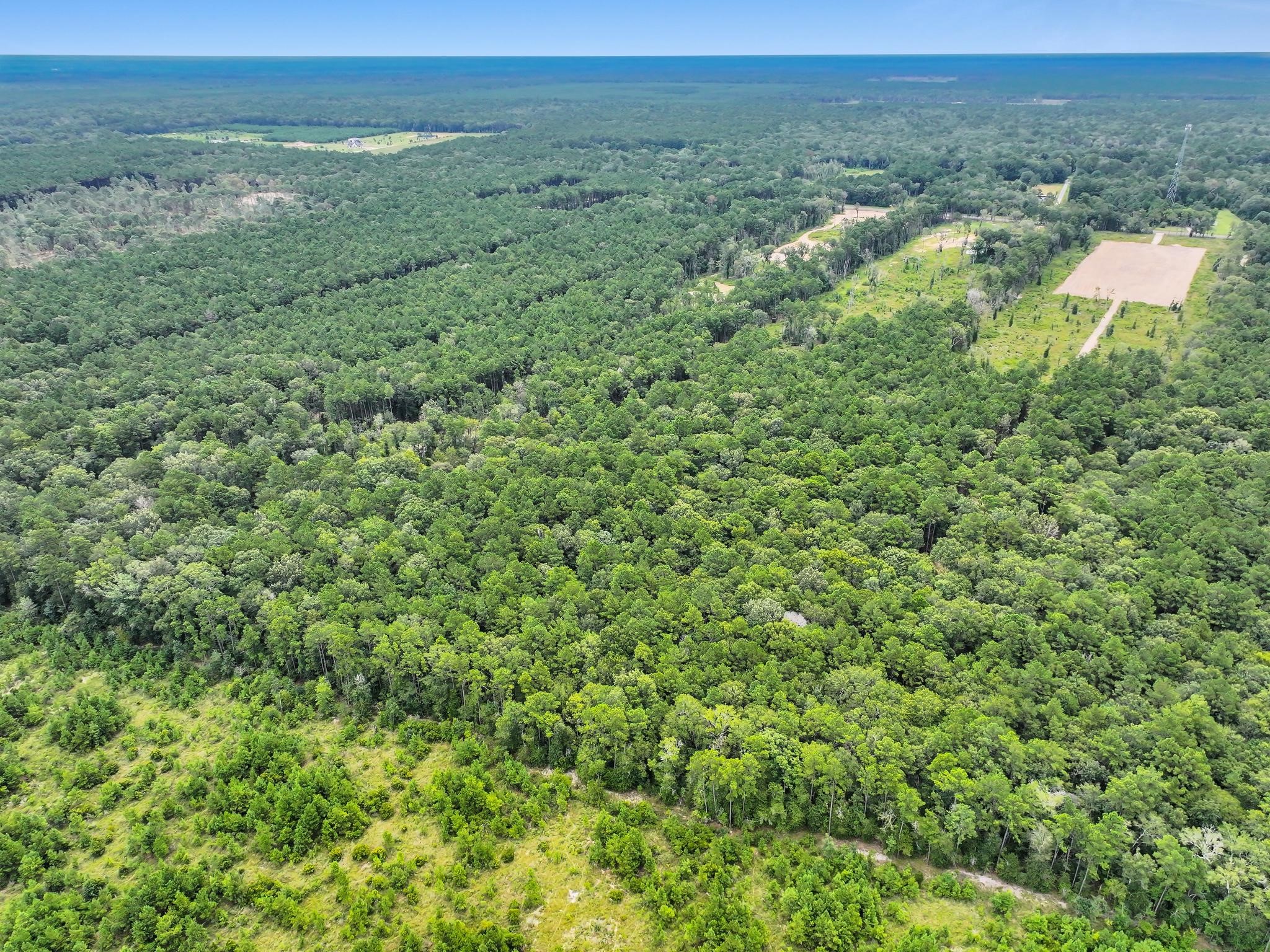 9870 Highway 326 Property Photo 6