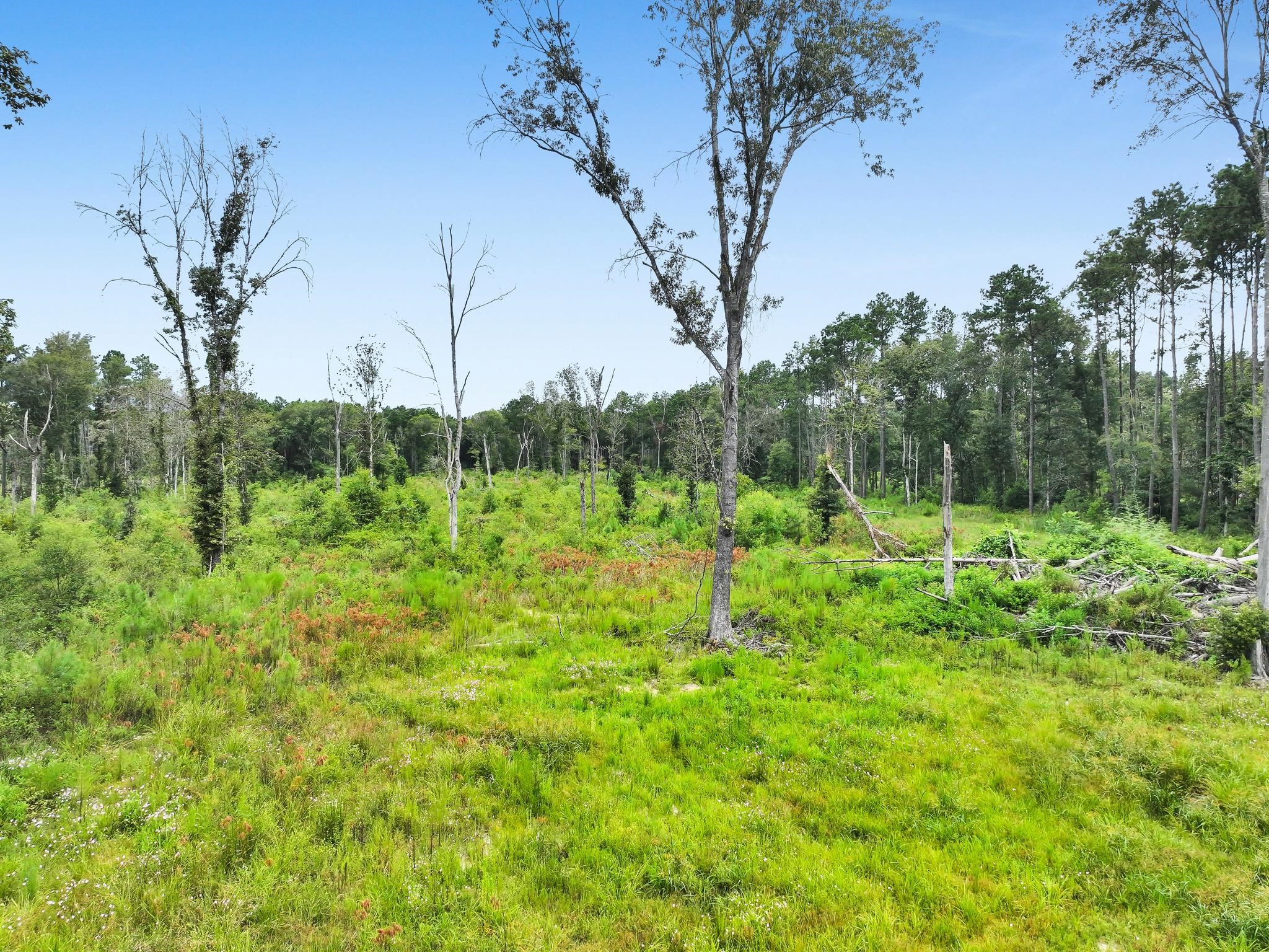 9870 Highway 326 Property Photo 13