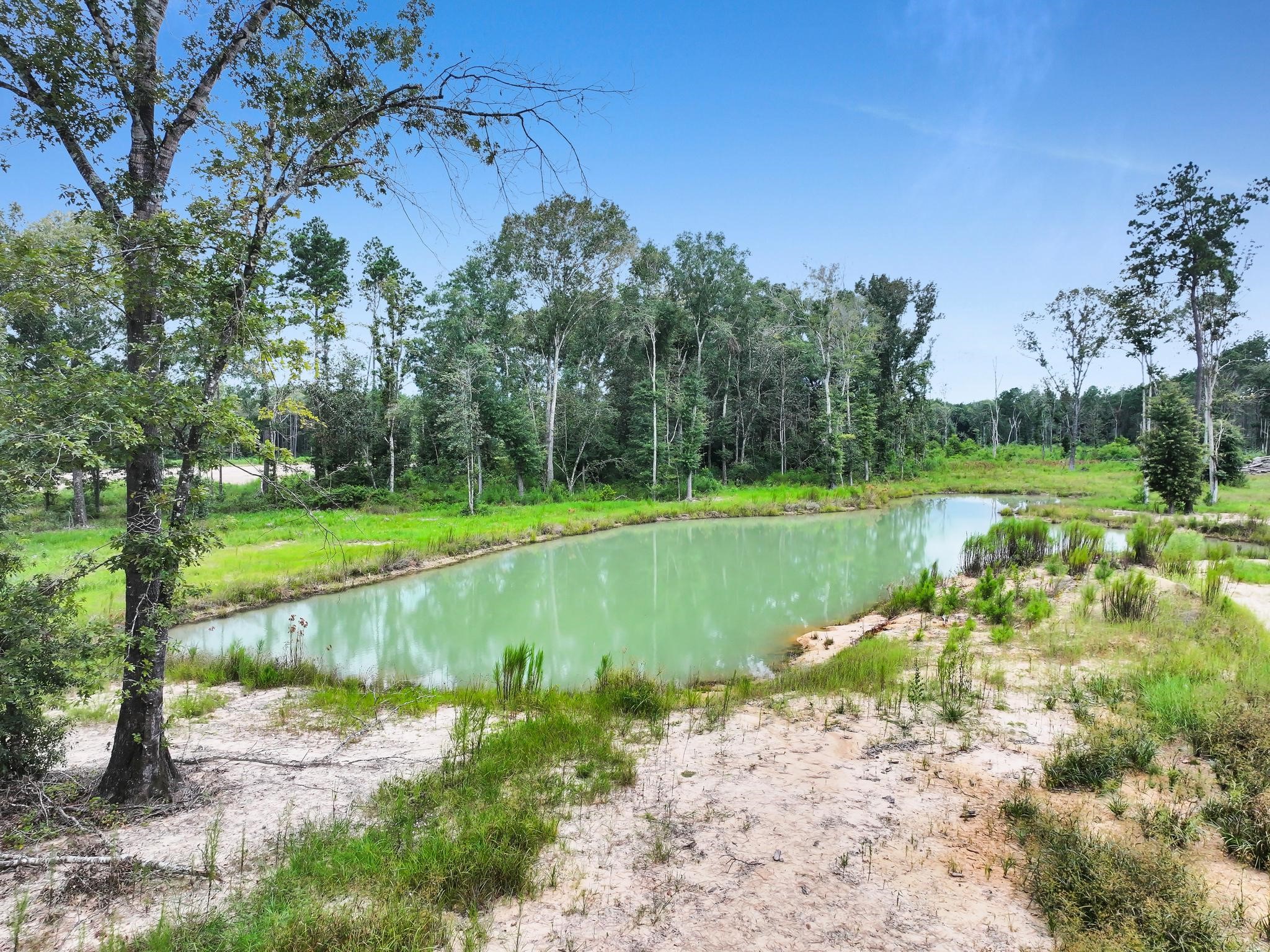 9870 Highway 326 Property Photo 15