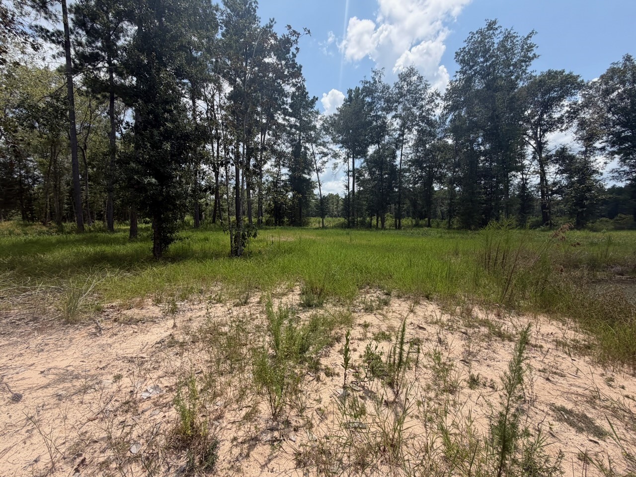 9870 Highway 326 Property Photo 22