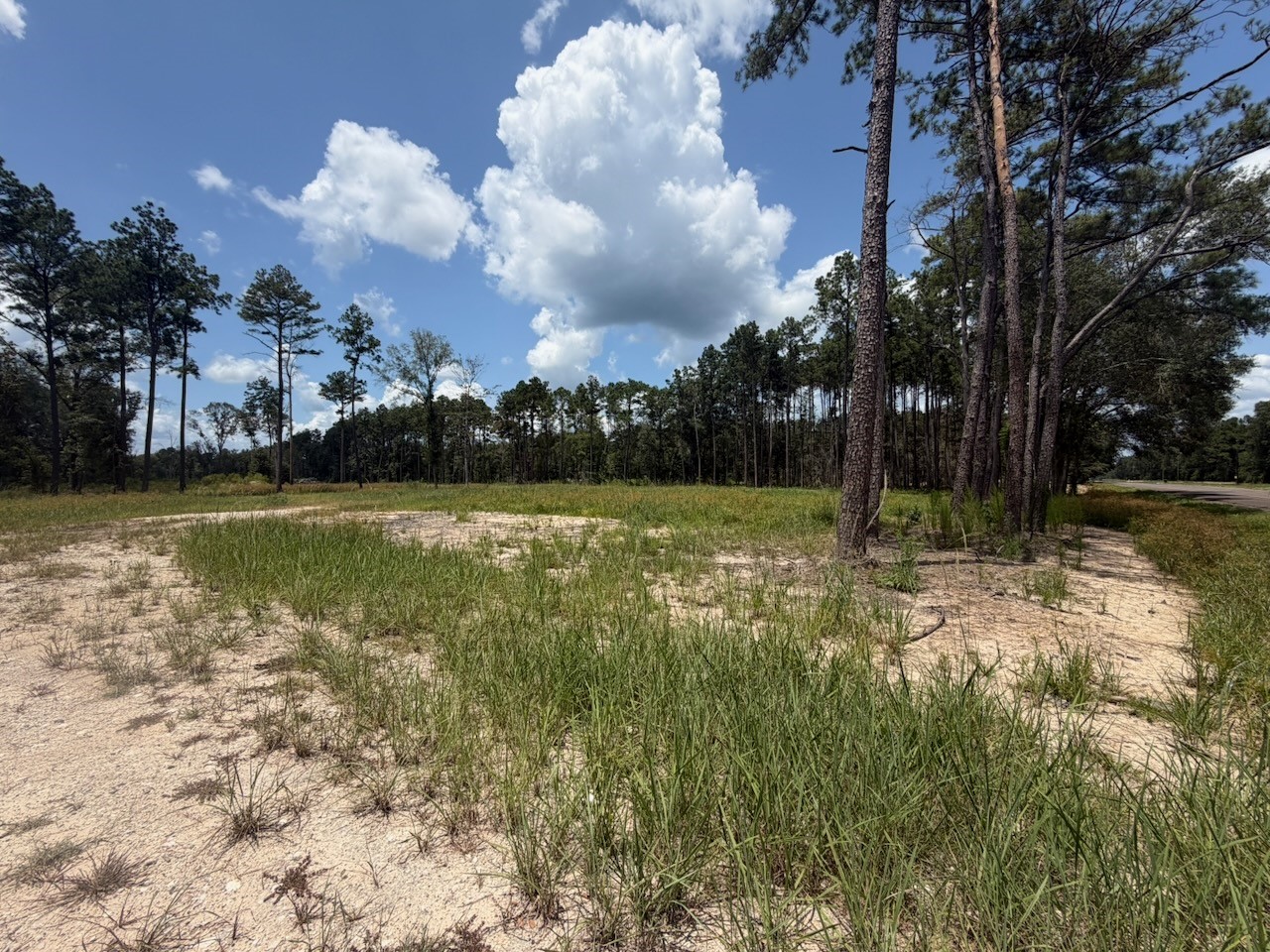 9870 Highway 326 Property Photo 29