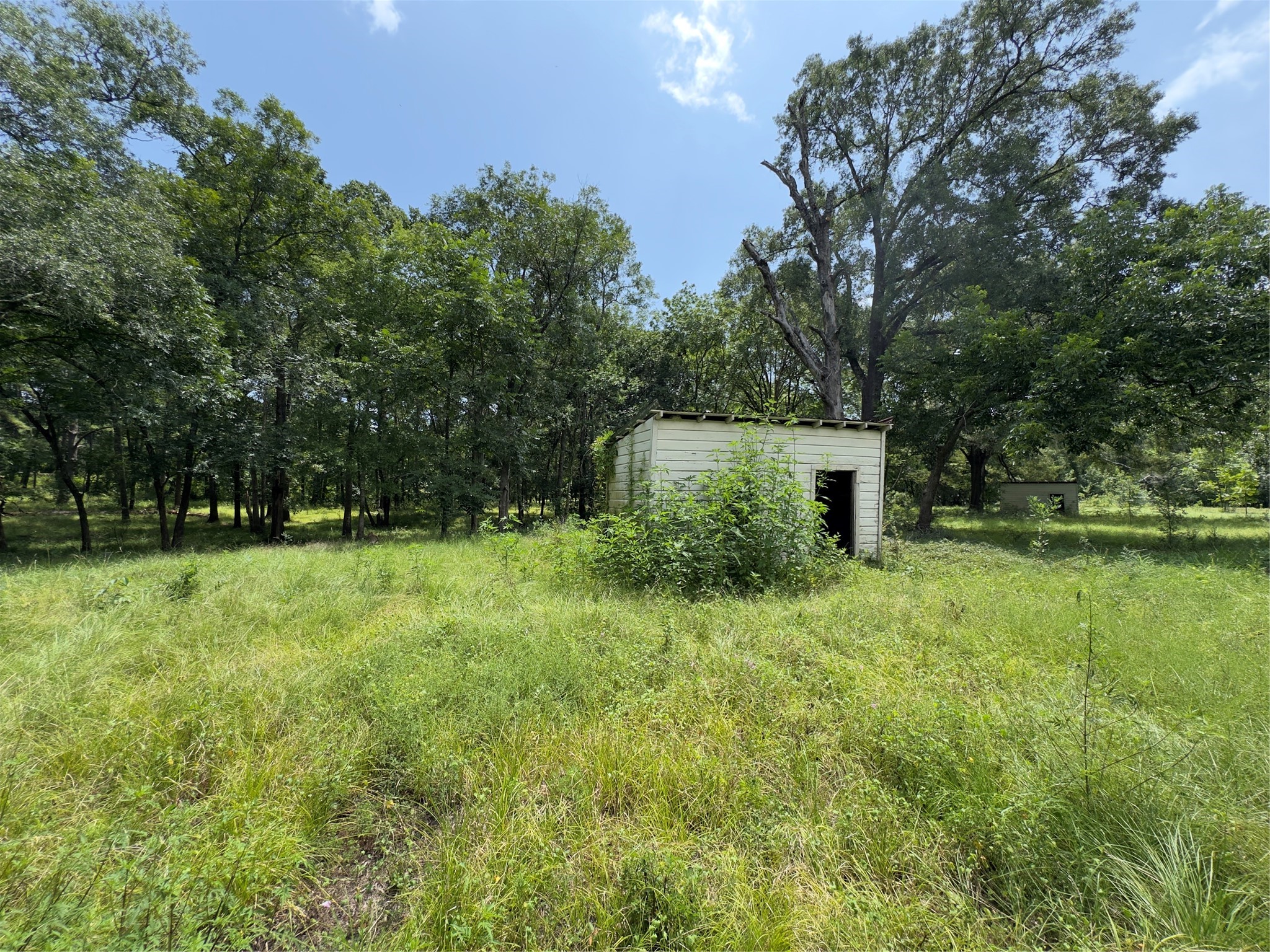 947 County Road 2850 Property Photo 3