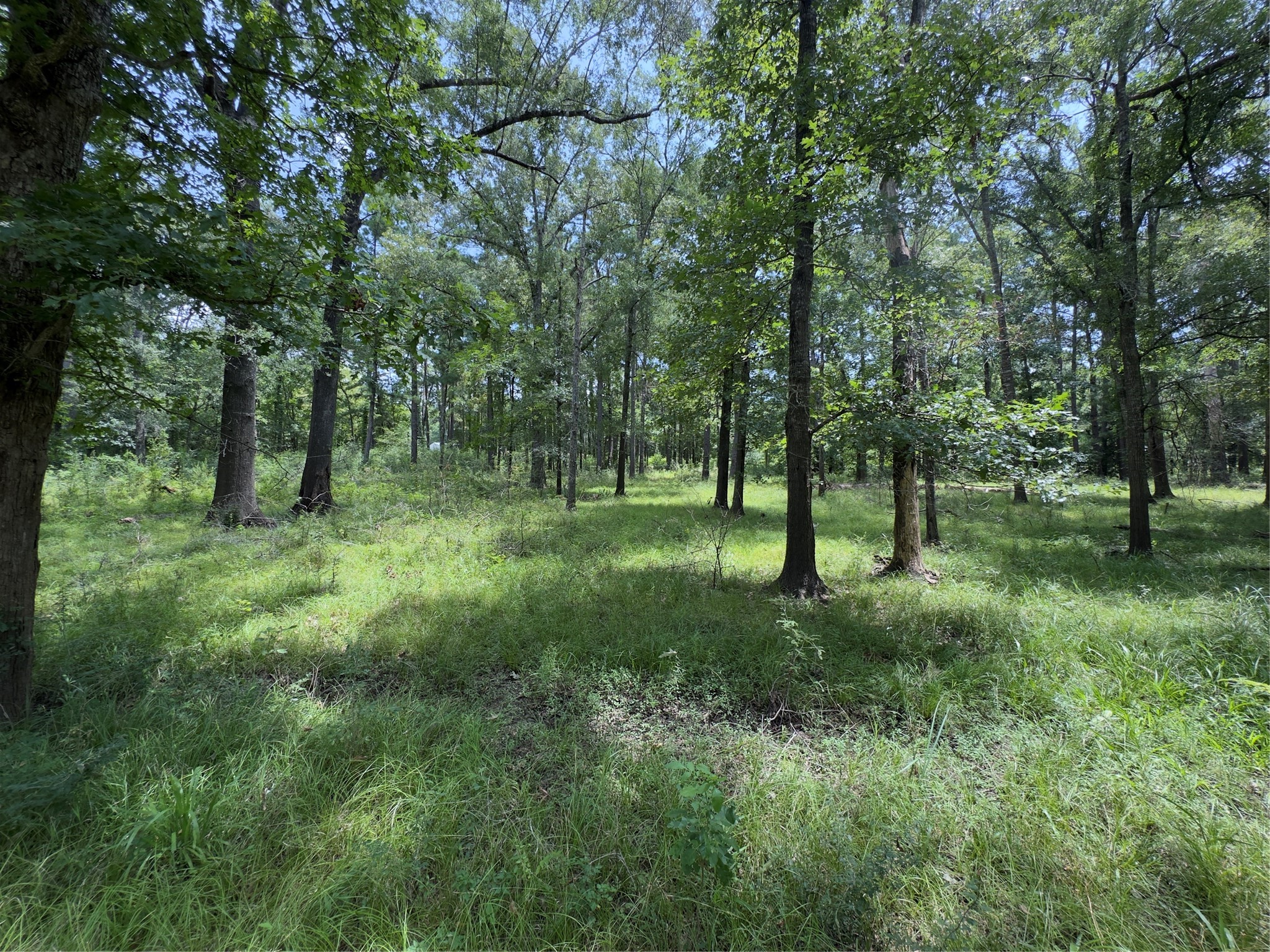 947 County Road 2850 Property Photo 4
