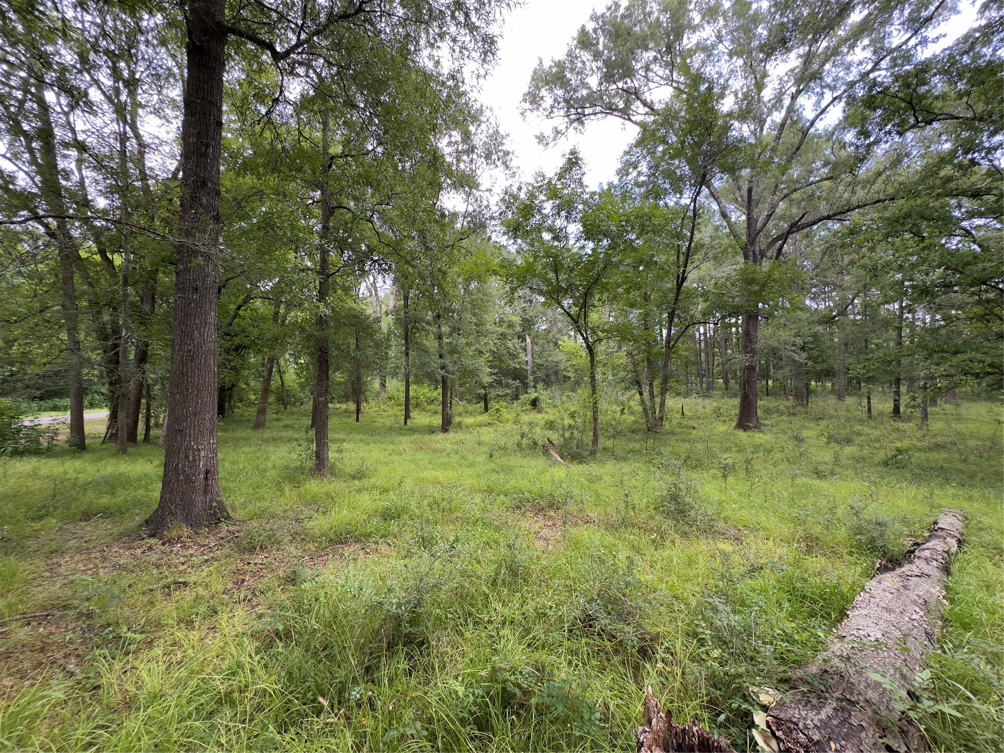 947 County Road 2850 Property Photo 5