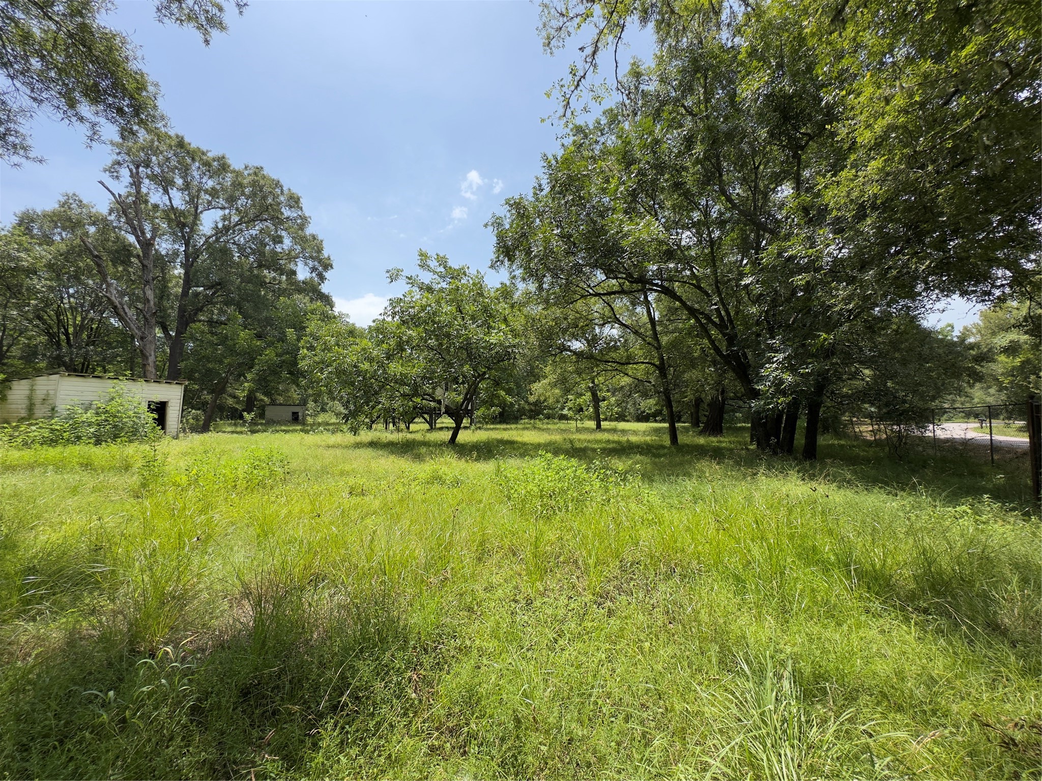 947 County Road 2850 Property Photo 6
