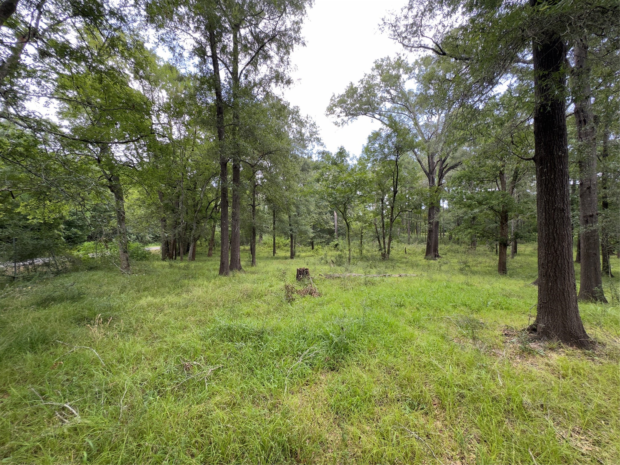 947 County Road 2850 Property Photo 14