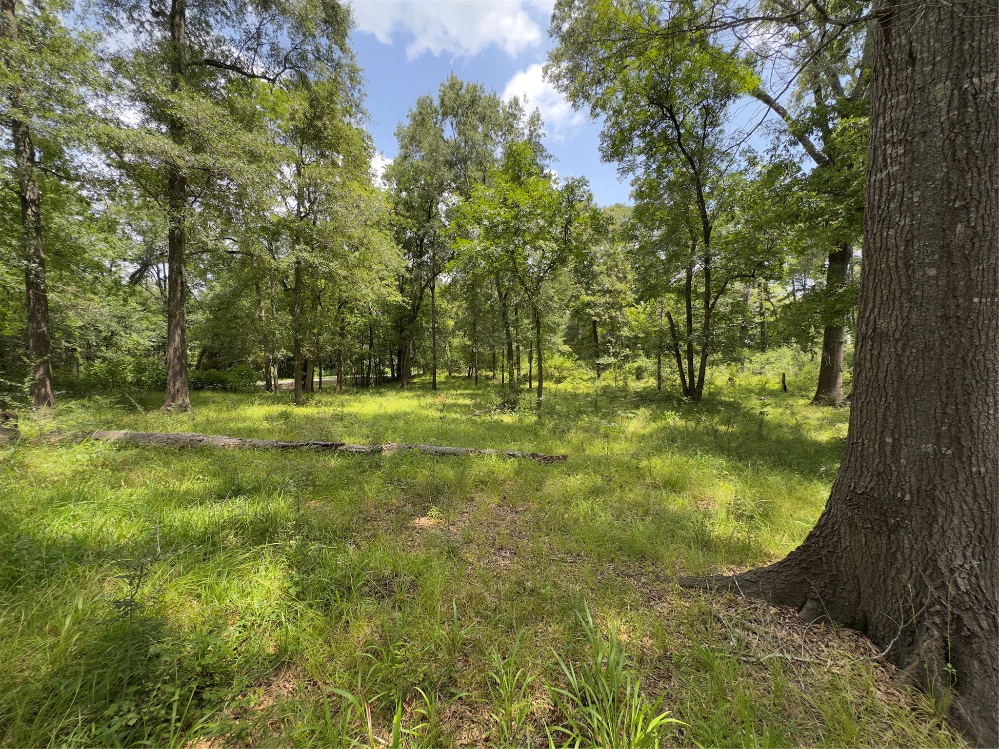 947 County Road 2850 Property Photo 16