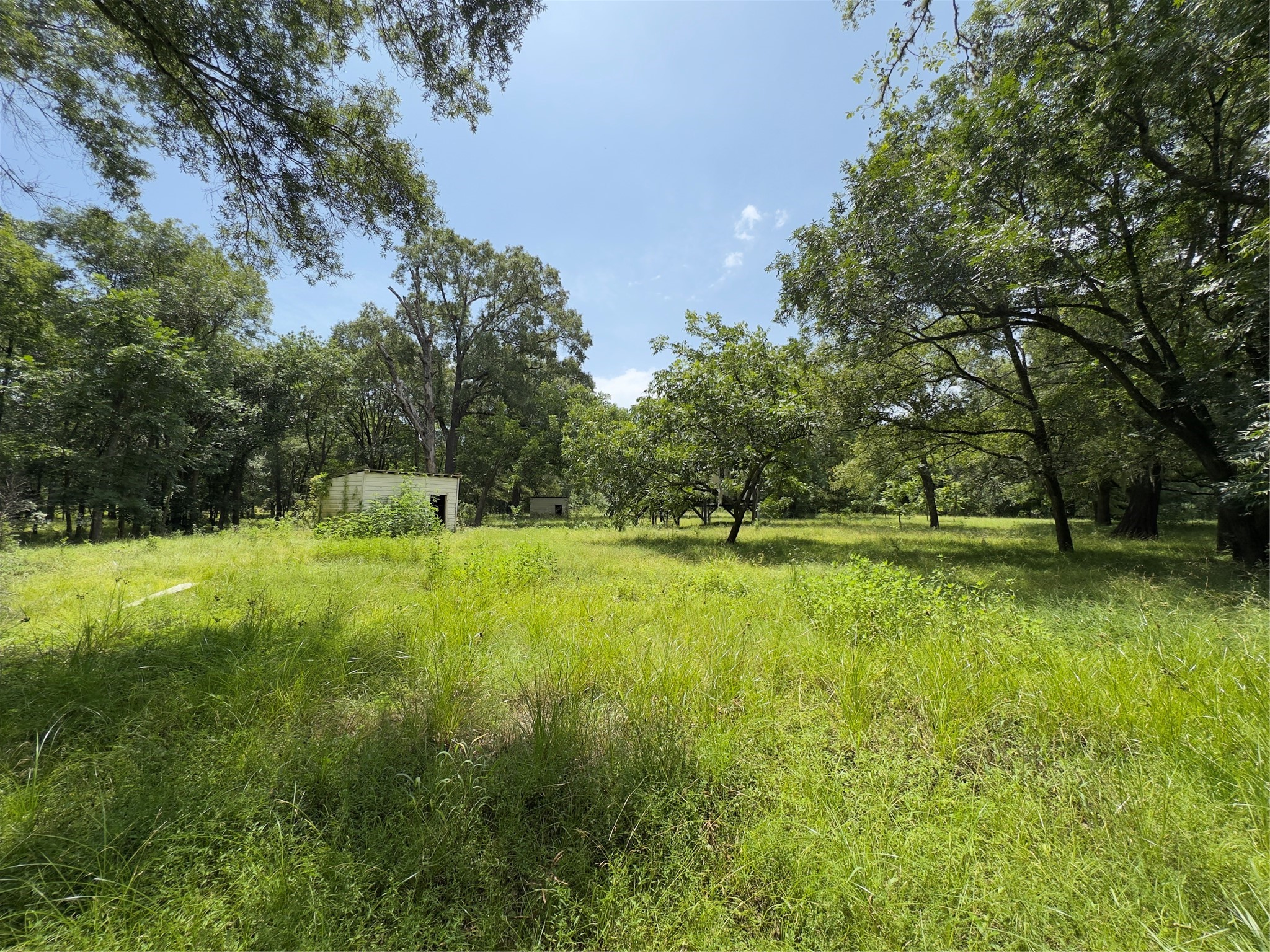 947 County Road 2850 Property Photo 17