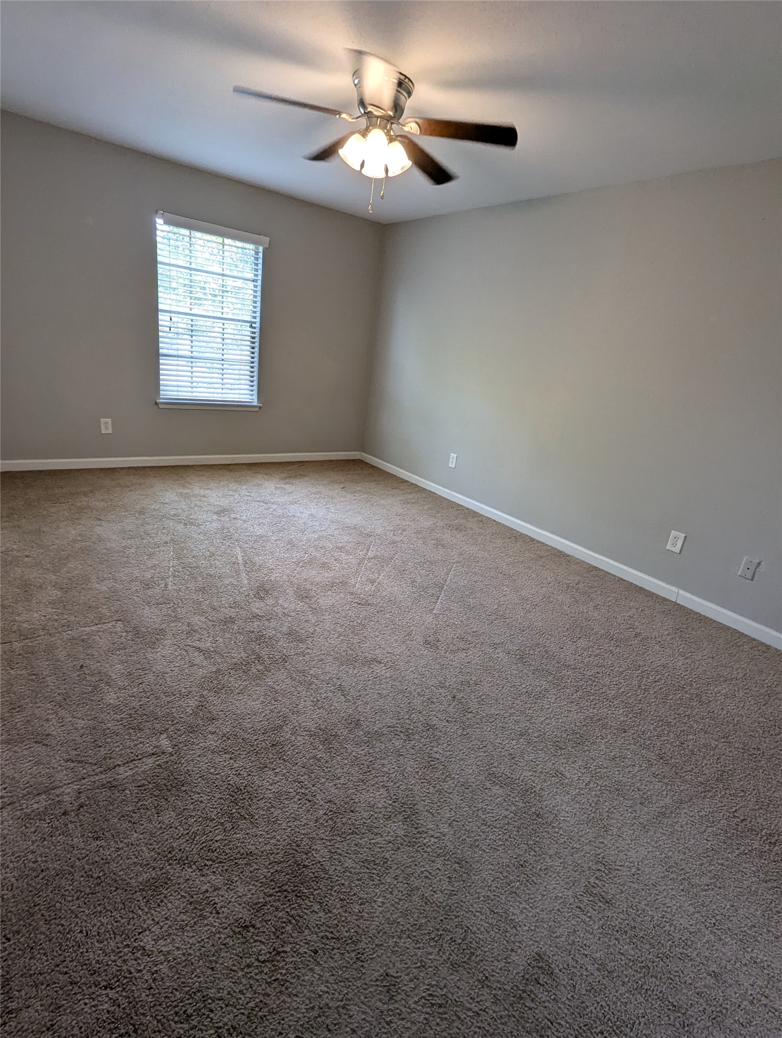 7661 Fallbrook Drive 7661 Property Photo 6