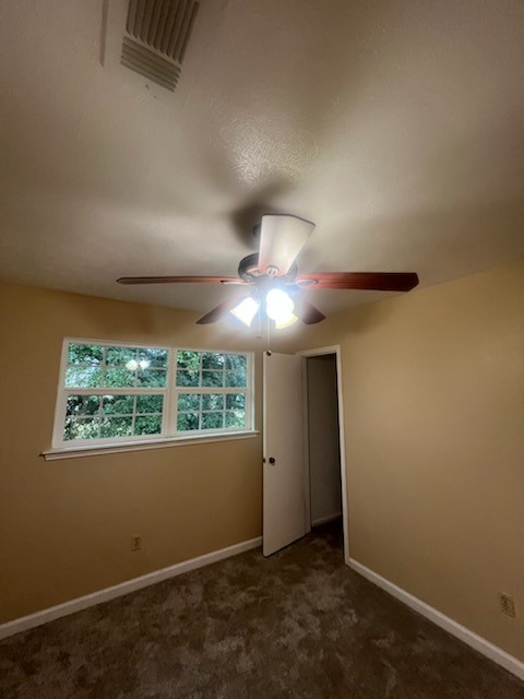 89 Coral Gables Property Photo 14