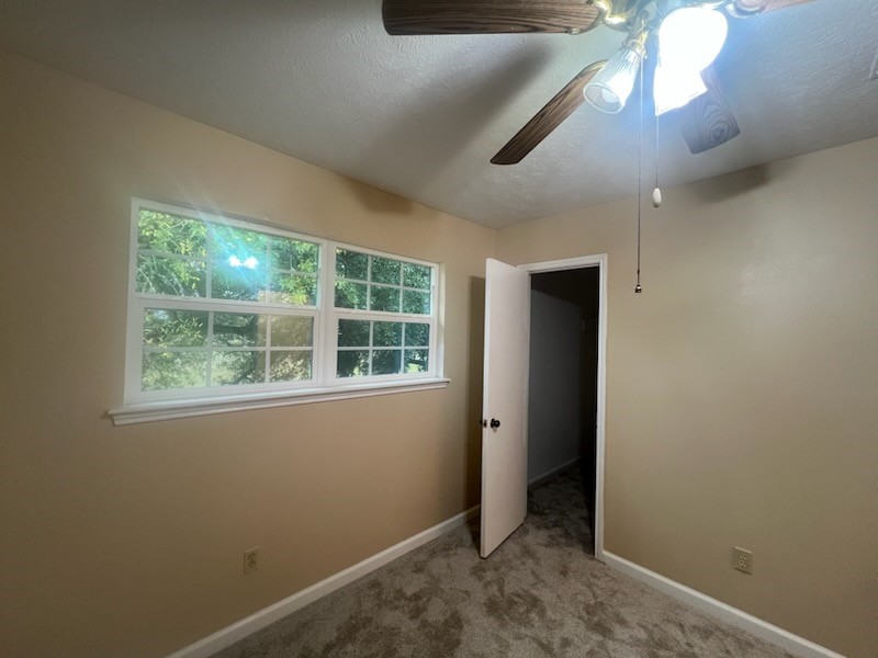 89 Coral Gables Property Photo 15