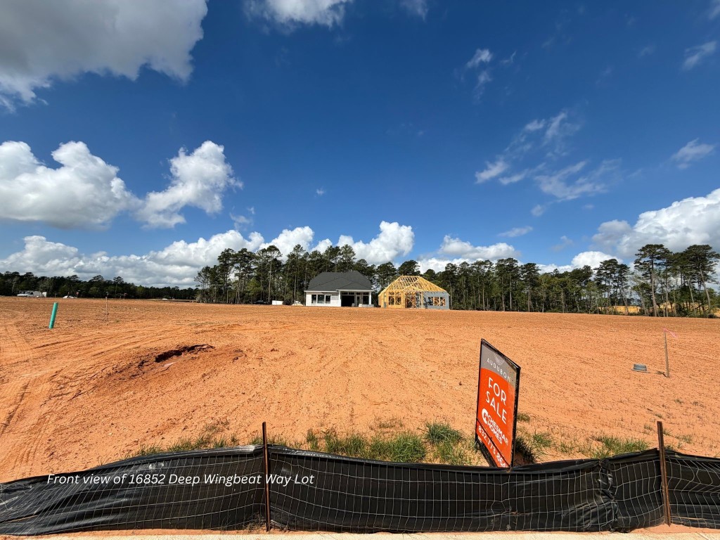 16852 Deep Wingbeat Way Property Photo 8