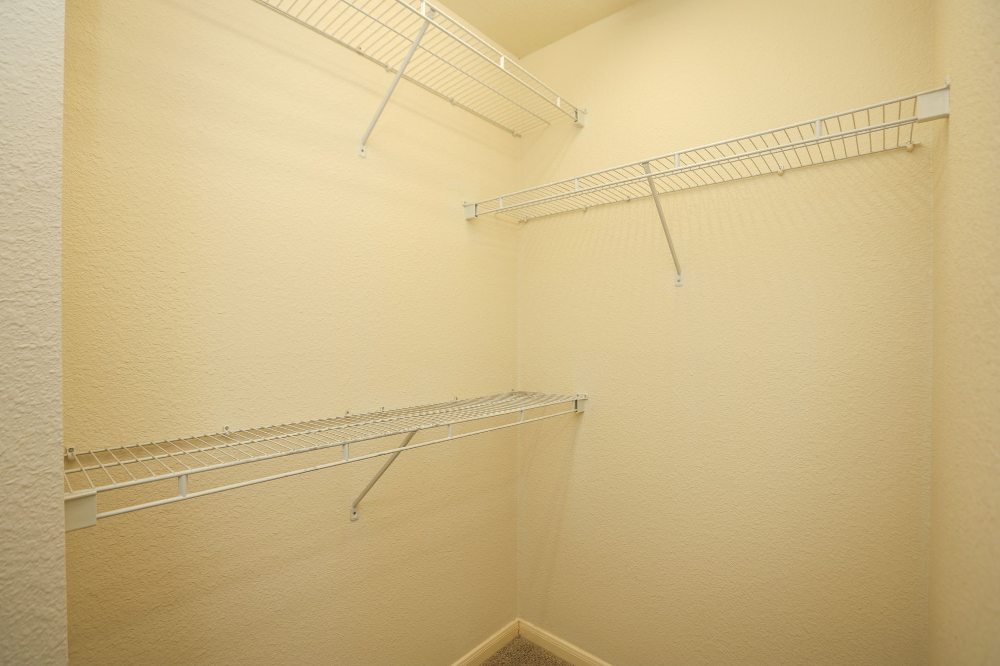 1620 Grable Cove Lane Property Photo 30