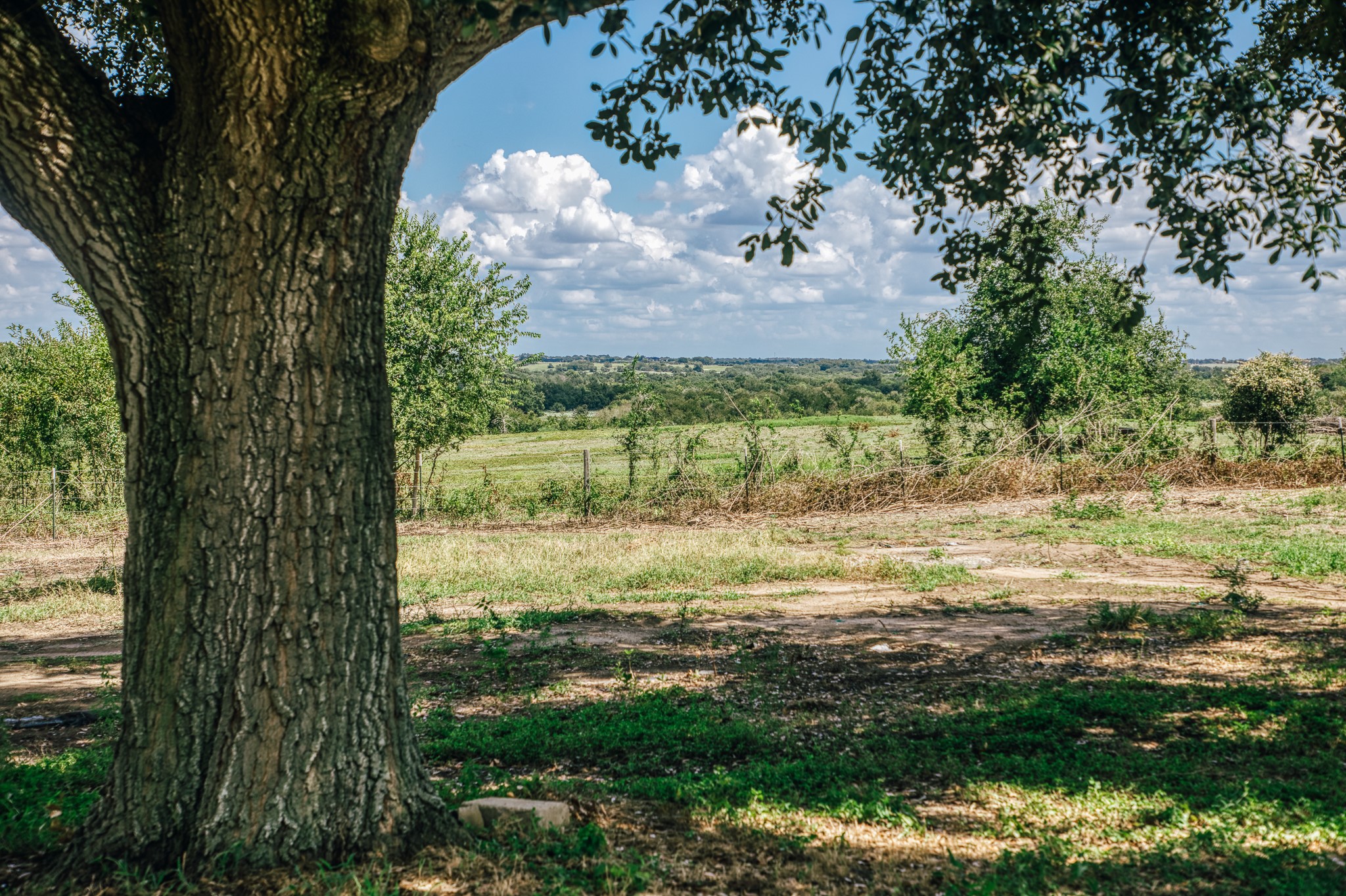 5802 Fm 50 Property Photo 18