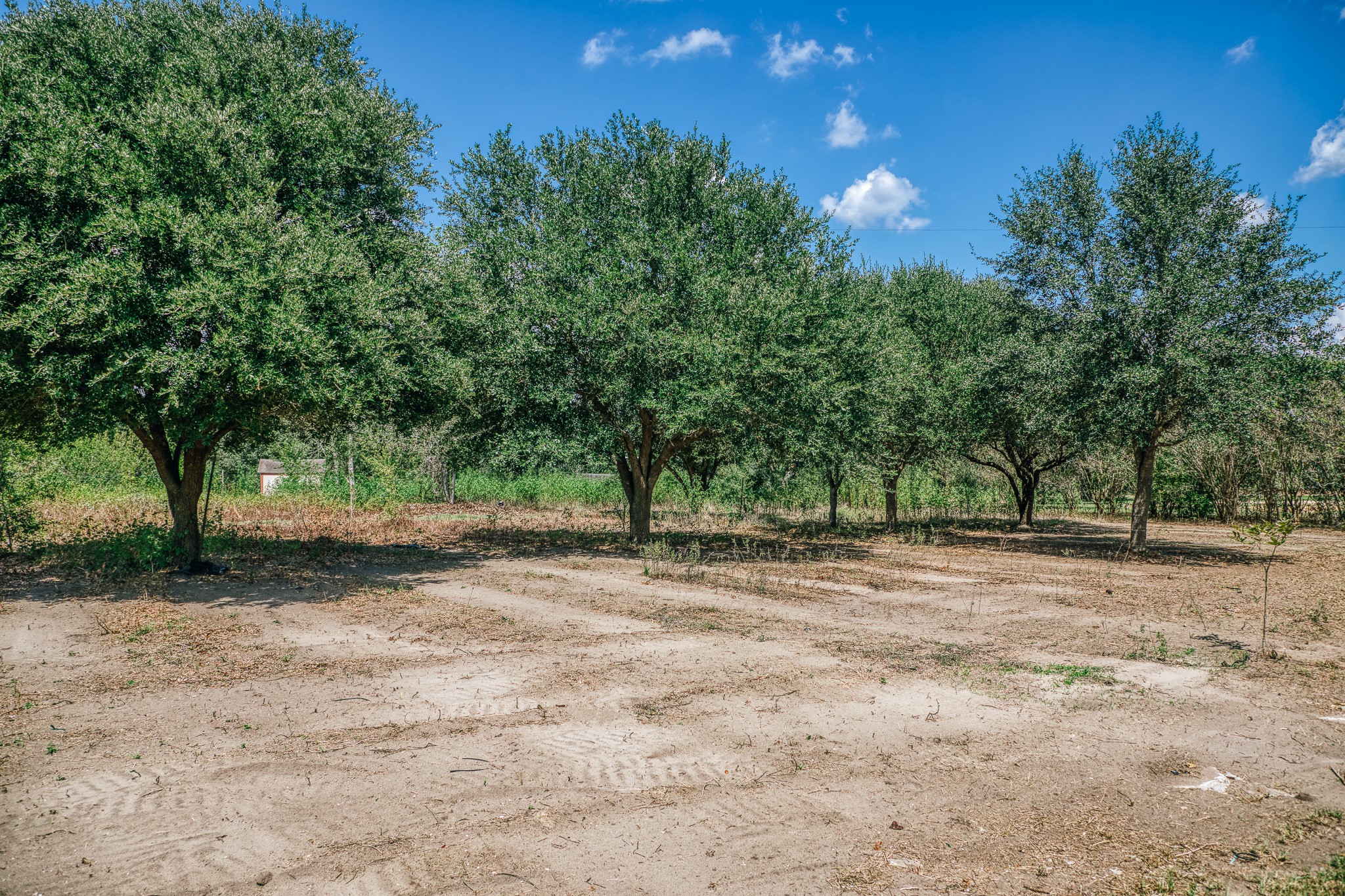 5802 Fm 50 Property Photo 23