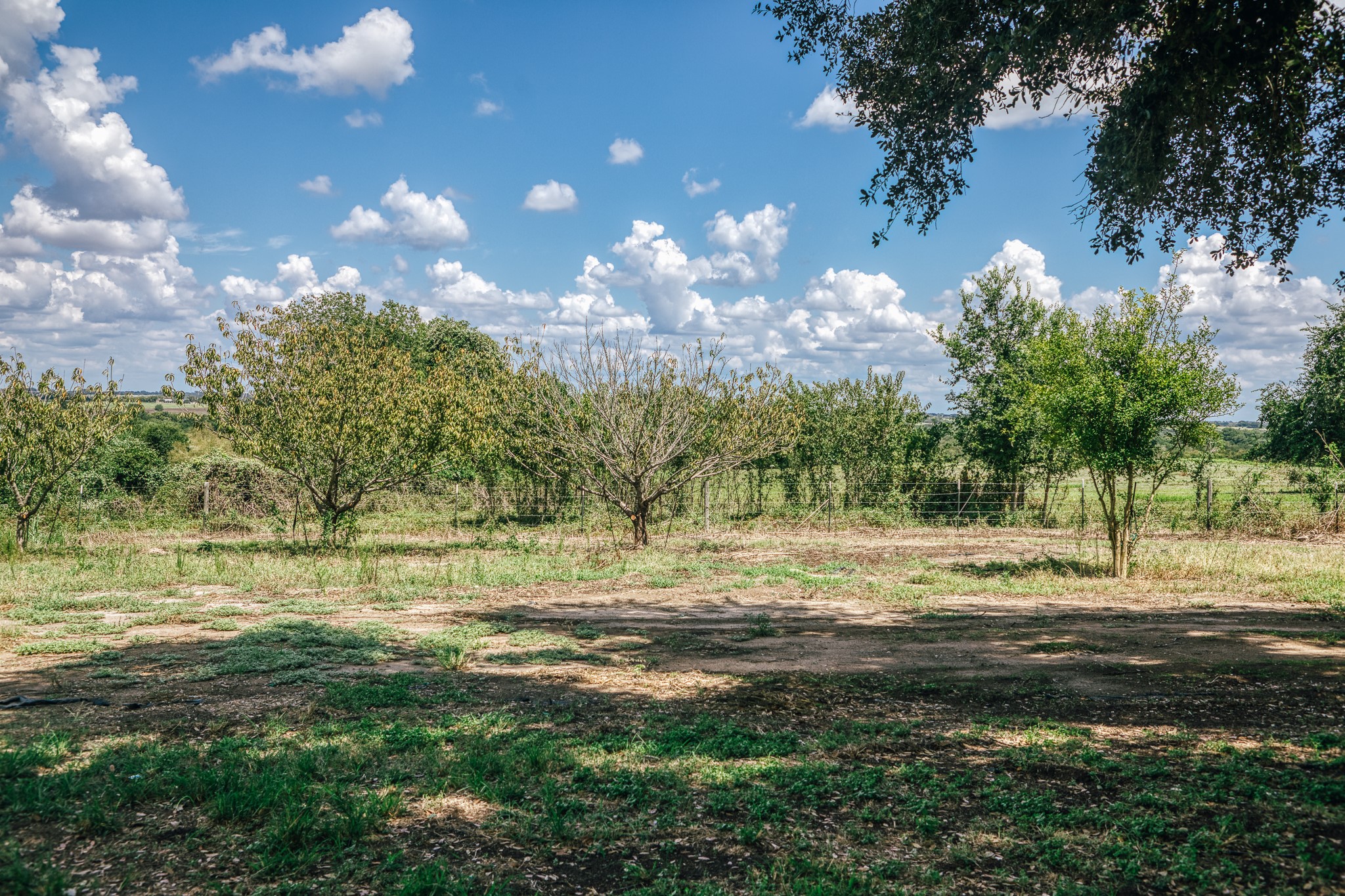 5802 Fm 50 Property Photo 28