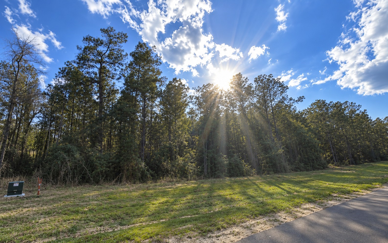 12939 Oak Barrel Road Property Photo 3