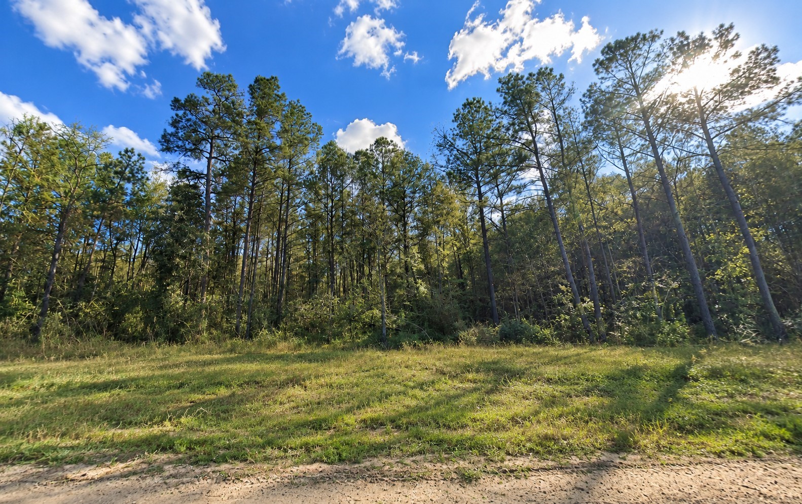 12939 Oak Barrel Road Property Photo 4