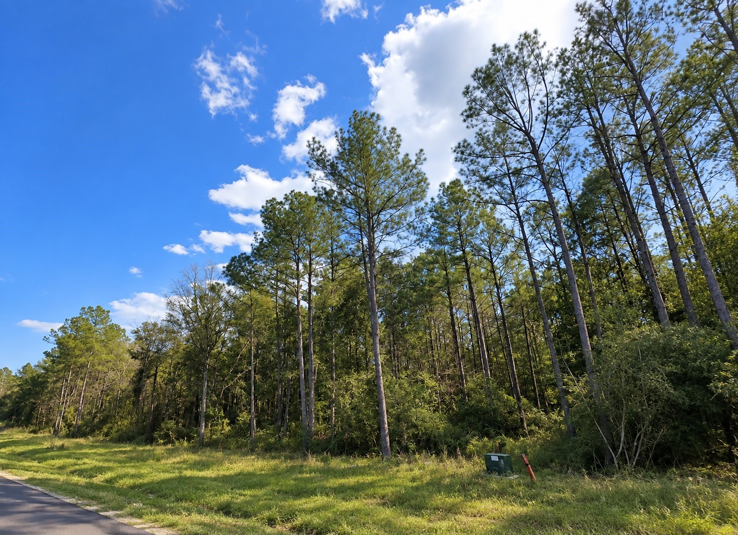 12939 Oak Barrel Road Property Photo 5
