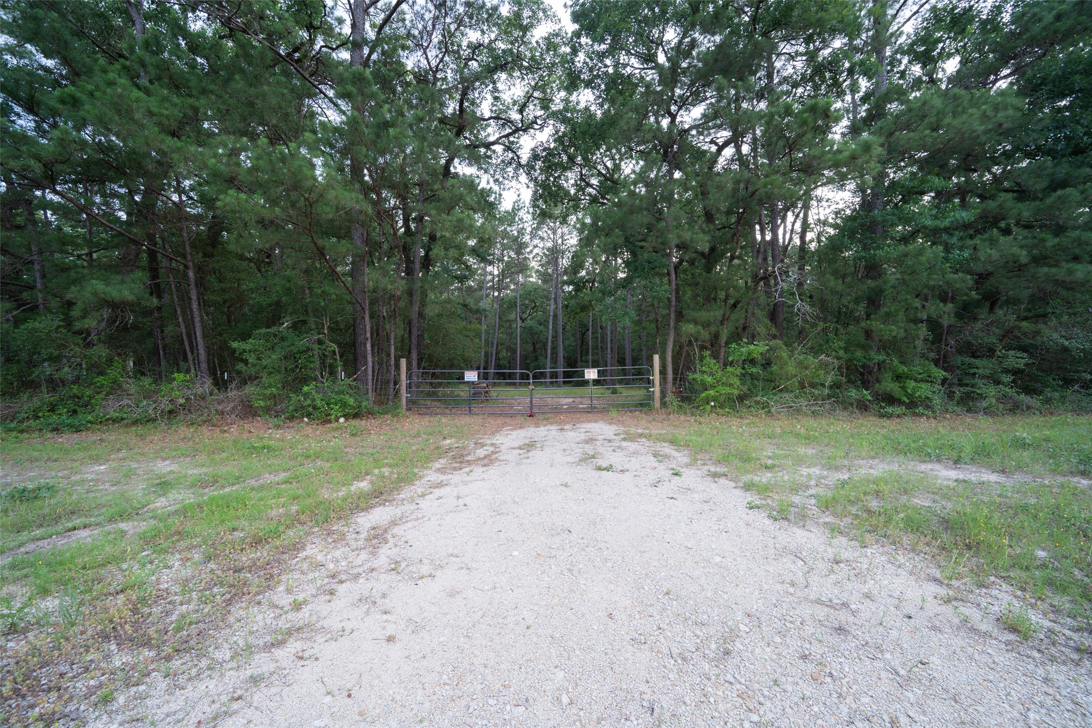 Tbd Fm 980 N Property Photo 5