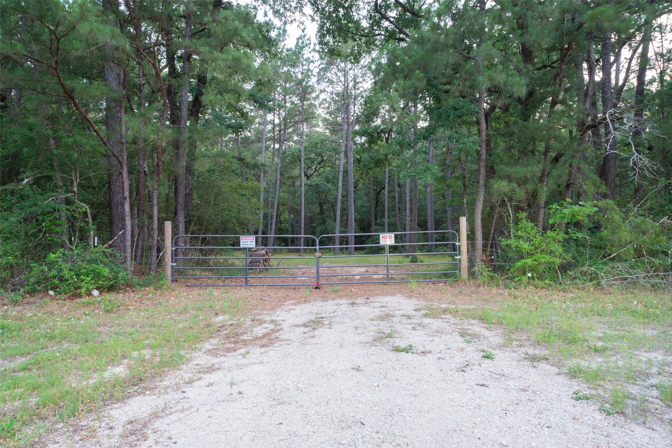 Tbd Fm 980 N Property Photo 6