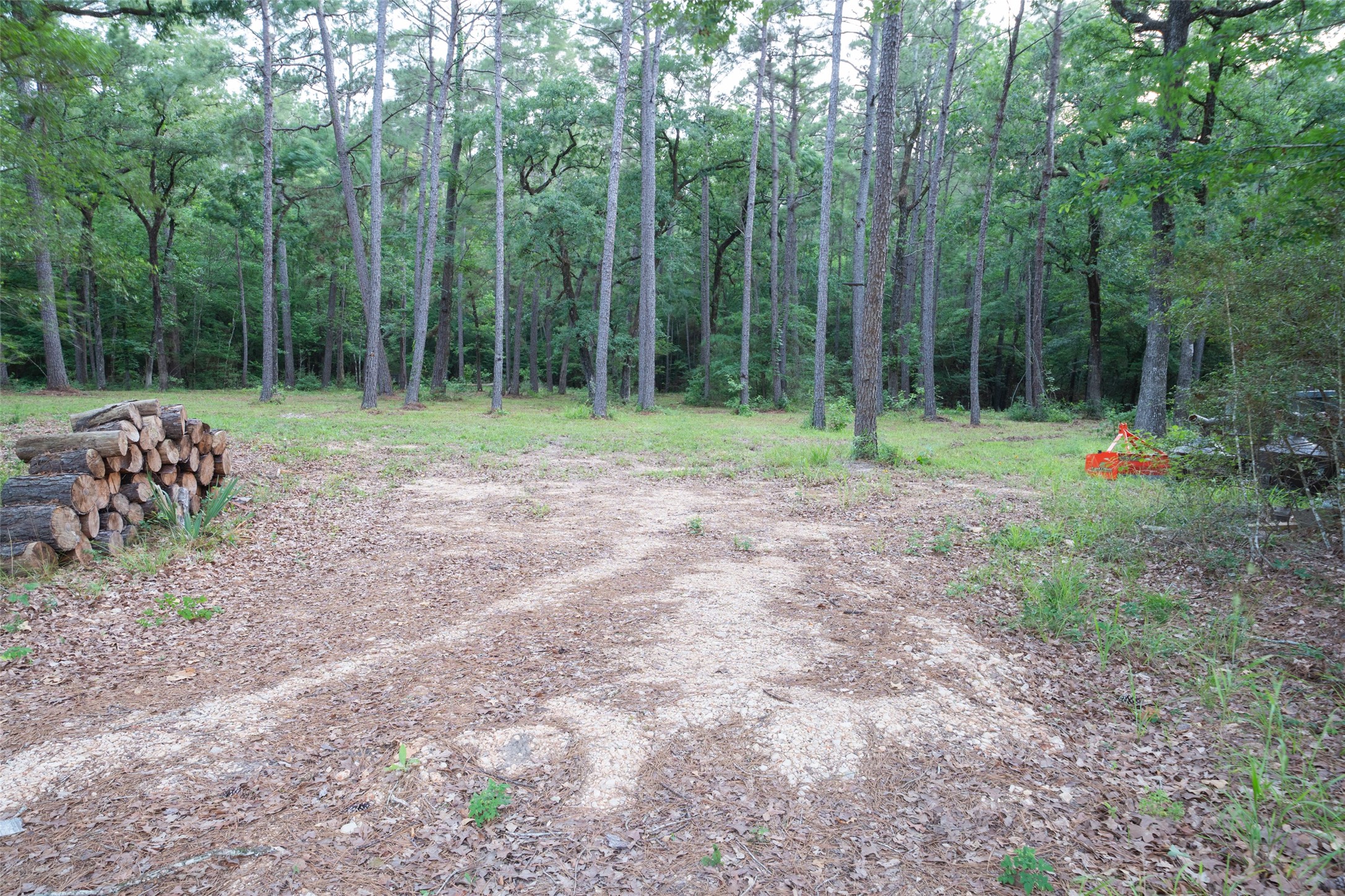 Tbd Fm 980 N Property Photo 7
