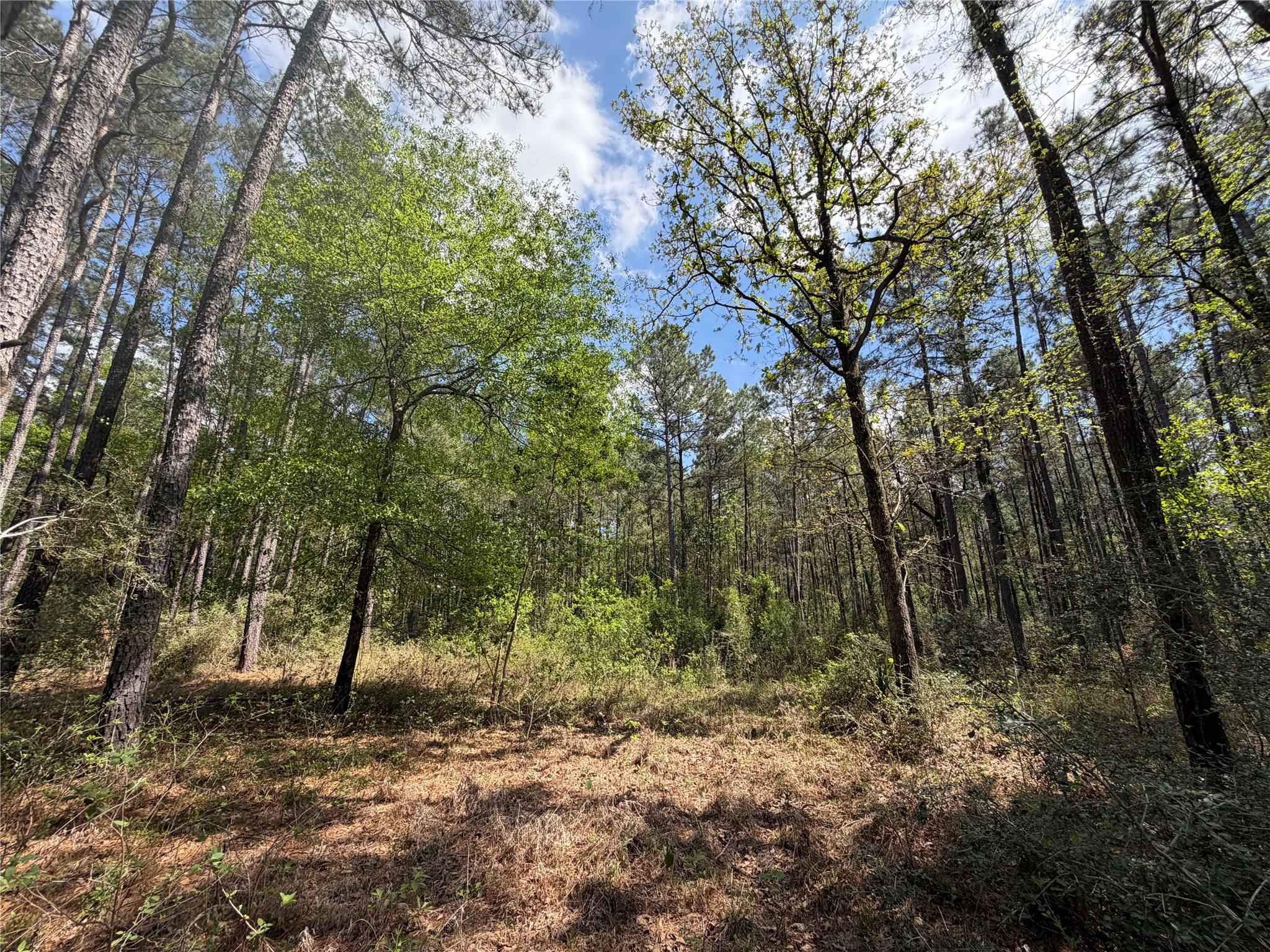19-6-1 Dedication Trail Property Photo 1
