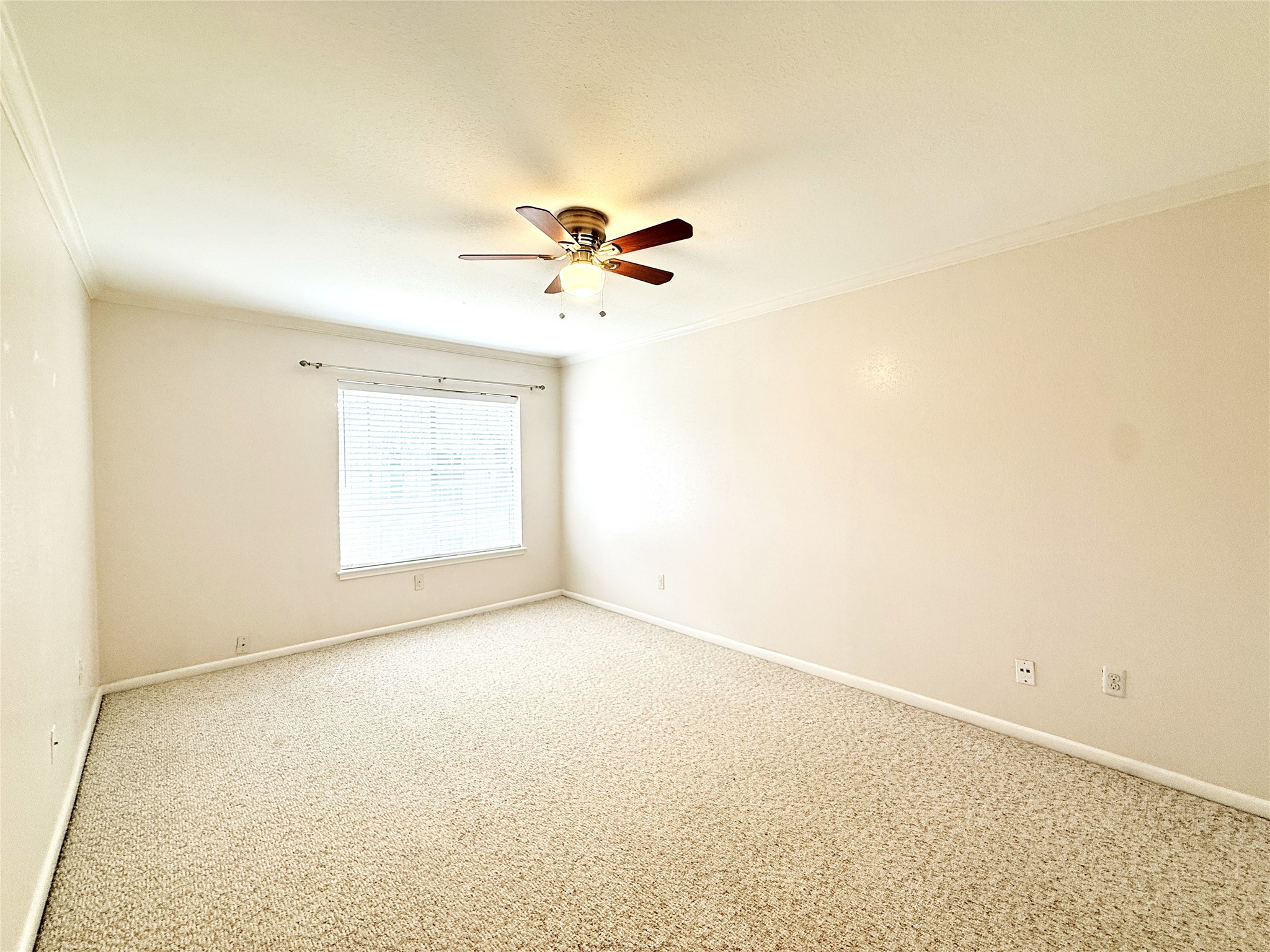 2250 Bering Drive 66 Property Photo 13