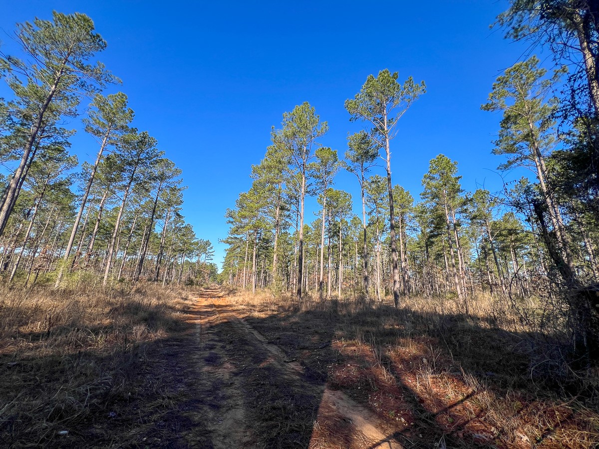 12 Highway 287 Property Photo 5