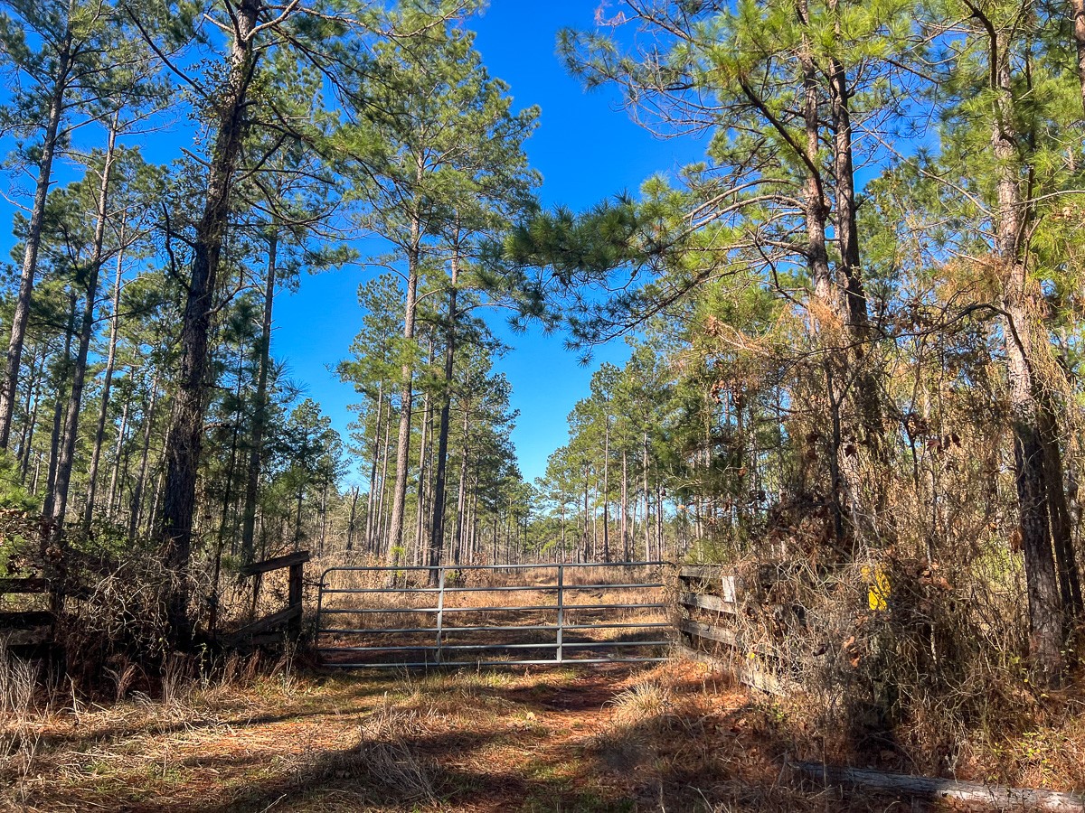 12 Highway 287 Property Photo 9