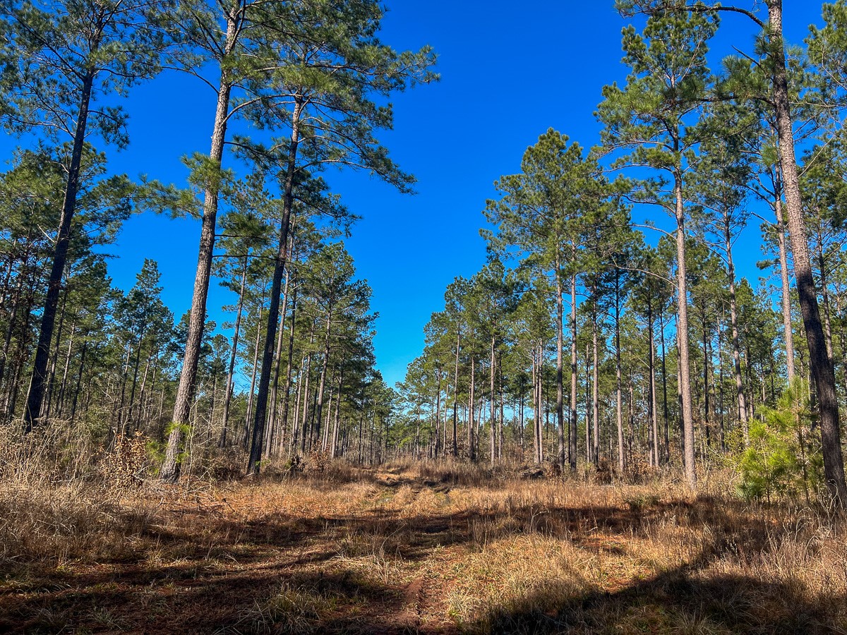 12 Highway 287 Property Photo 10