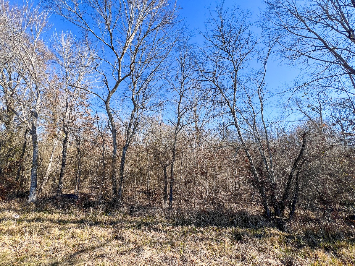 12 Highway 287 Property Photo 17