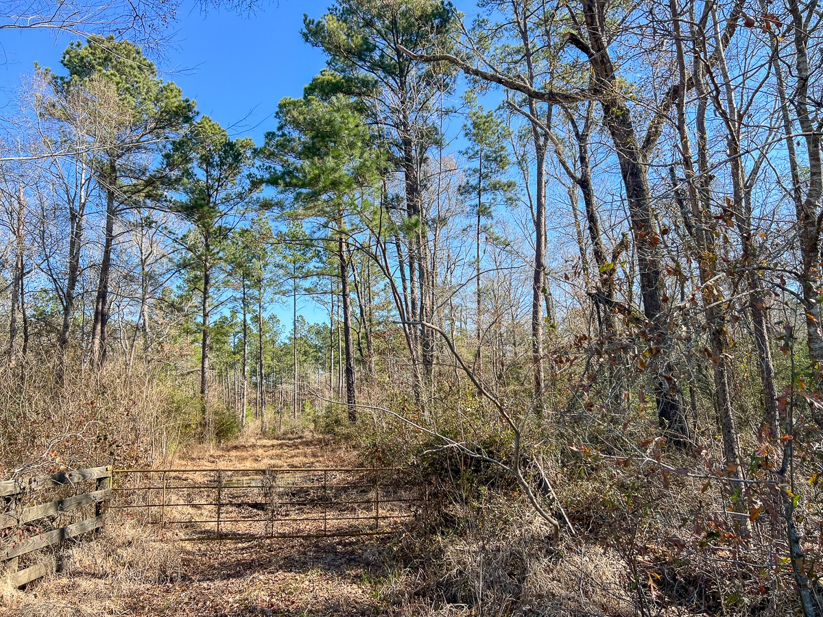 12 Highway 287 Property Photo 19