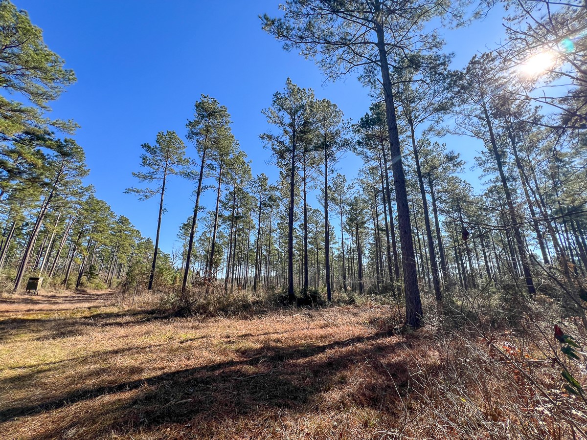12 Highway 287 Property Photo 21