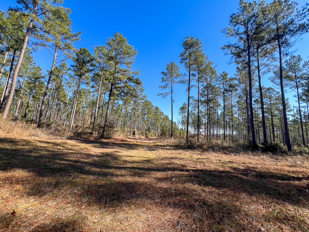 12 Highway 287 Property Photo 23