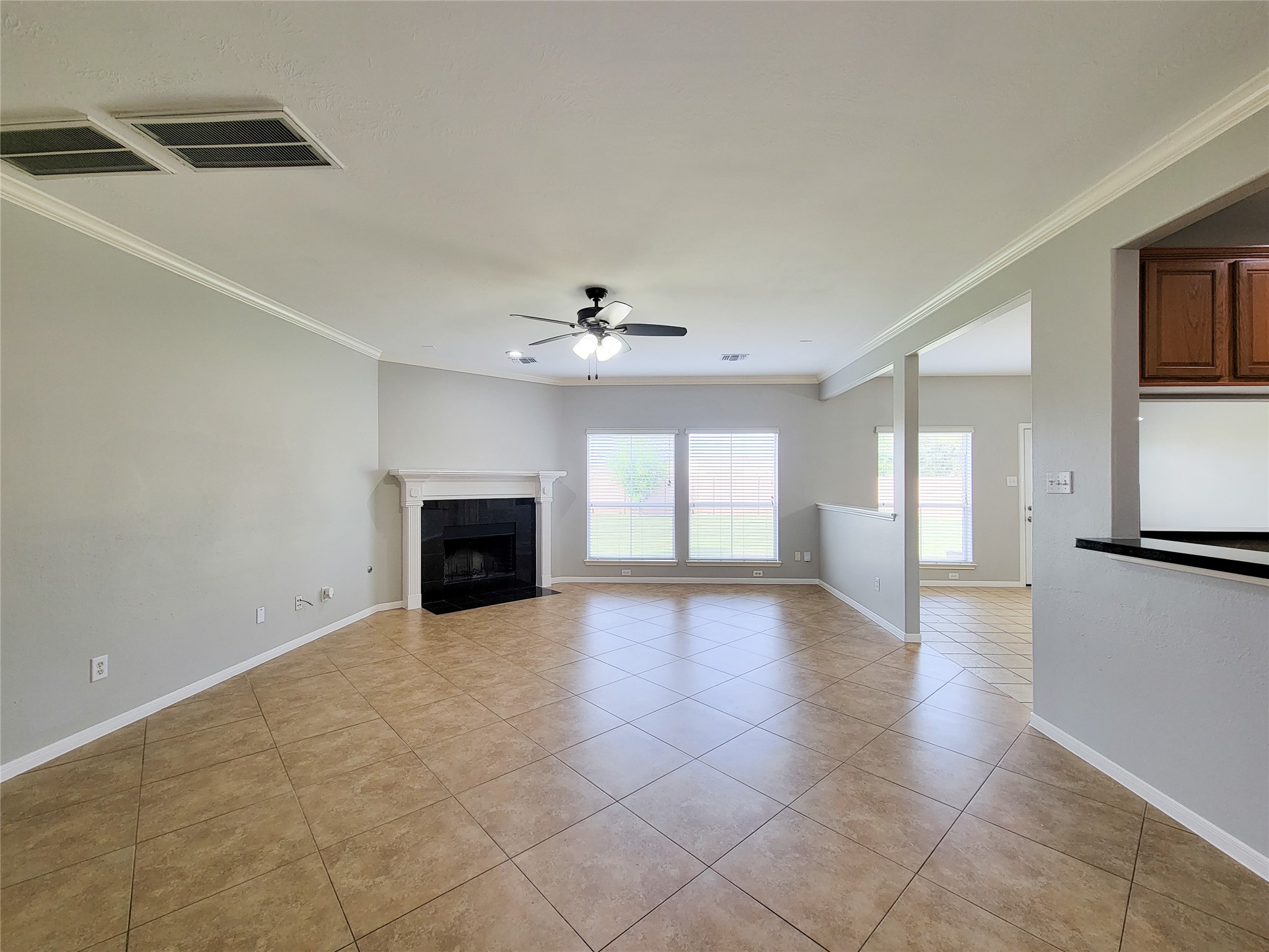 20710 Mansfield Bay Lane Property Photo 9