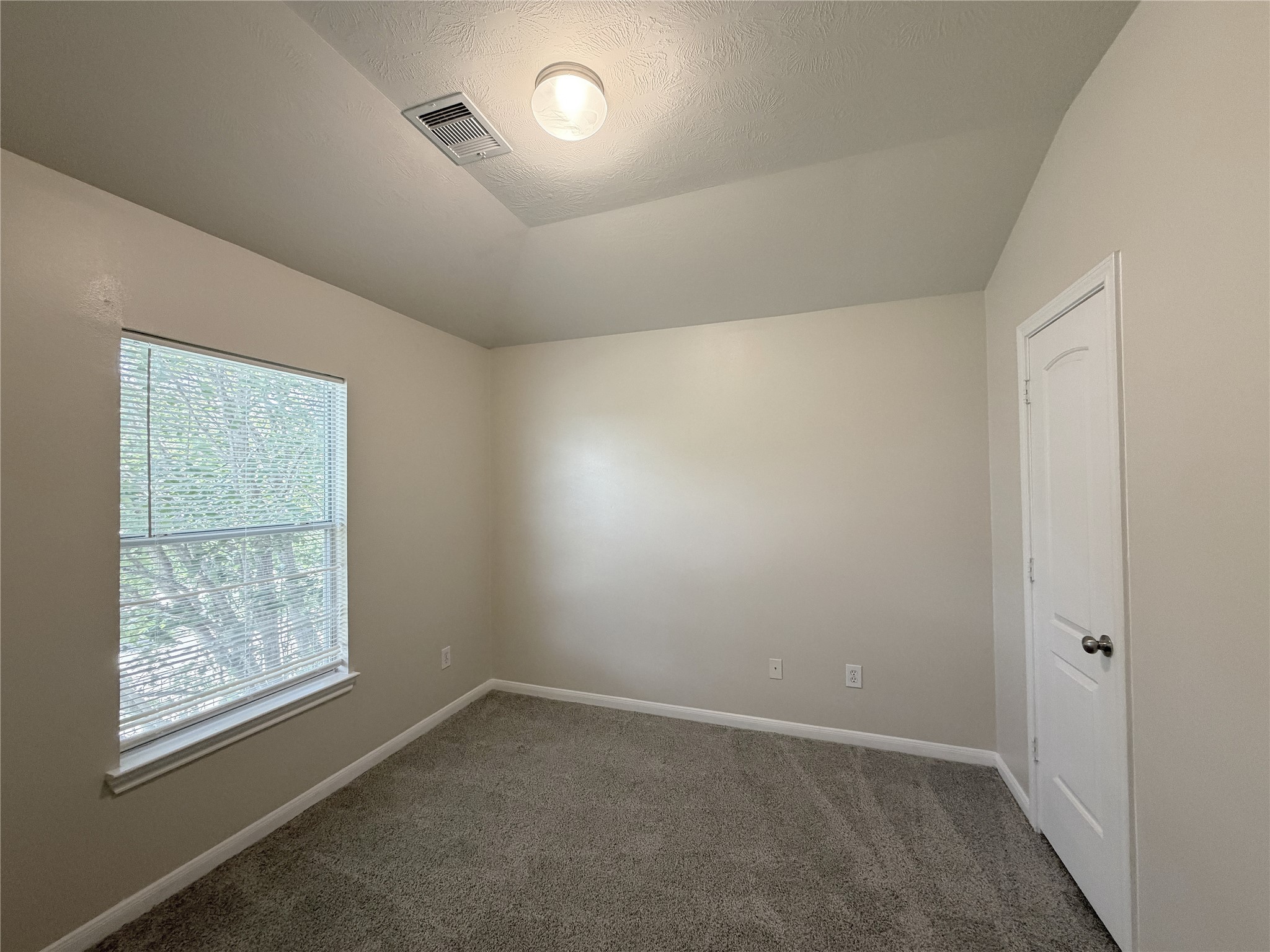 12543 S Ashford Villa Lane Property Photo 19