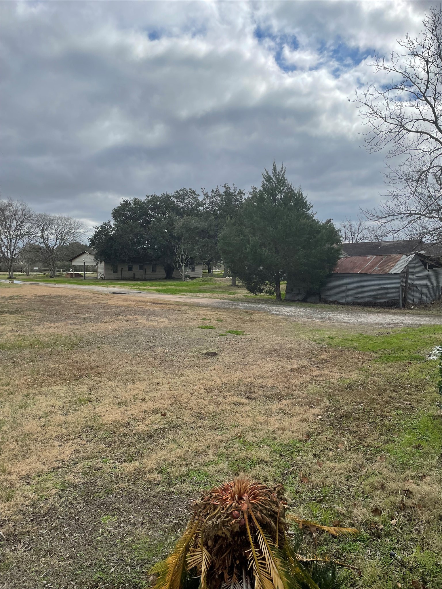 5025, 5027, 5029 Skinner Lane Property Photo 3