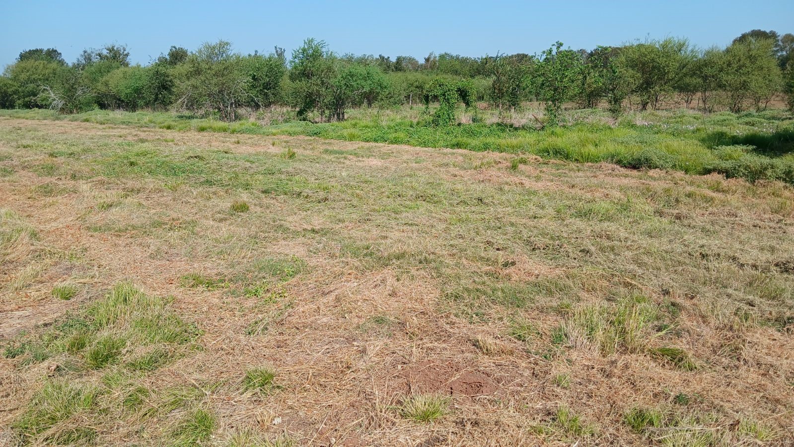 5025, 5027, 5029 Skinner Lane Property Photo 6