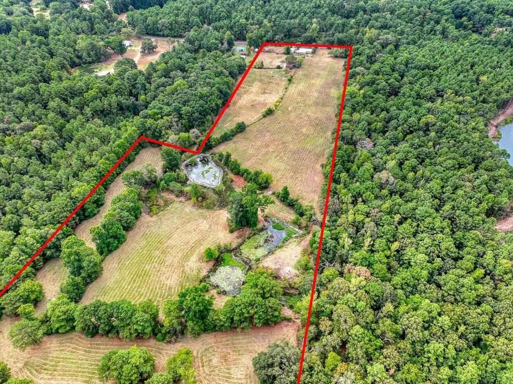 4233 An County Road 163 Property Photo 10